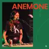 Anemone - Anemone on Audiotree Live - EP